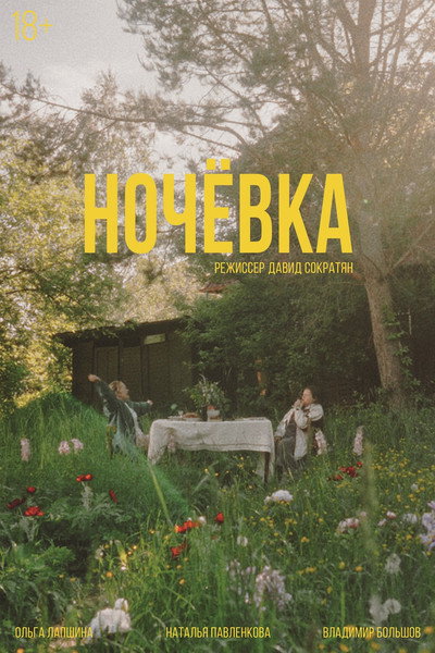 Póster de Nochevka