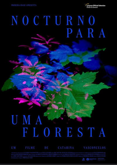 Póster de Nocturne for a Forest