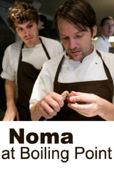 Póster de Noma at Boiling Point