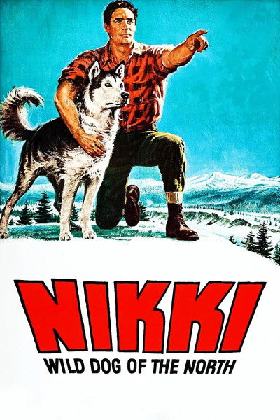 Póster de Nómadas del Norte
