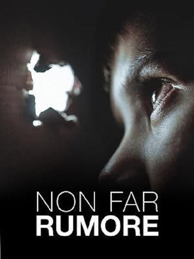 Póster de Non Far Rumore