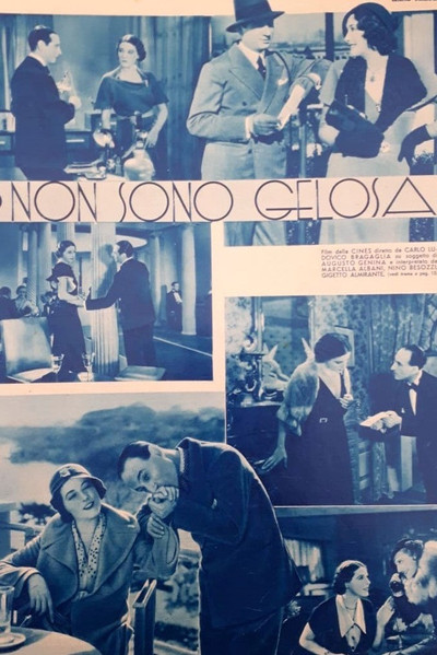 Póster de Non sono gelosa