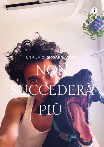 Póster de Non succederà più