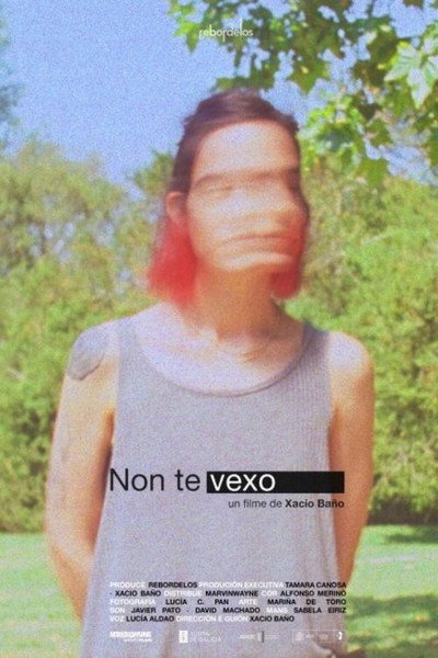 Póster de Non te vexo