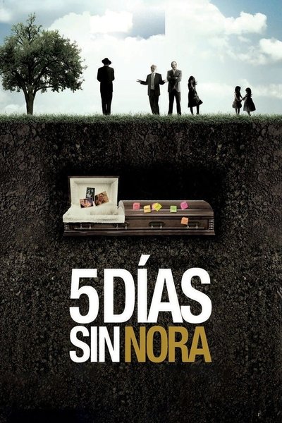 Póster de Nora's Will
