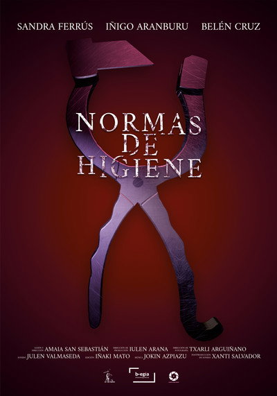 Póster de Normas de Higiene