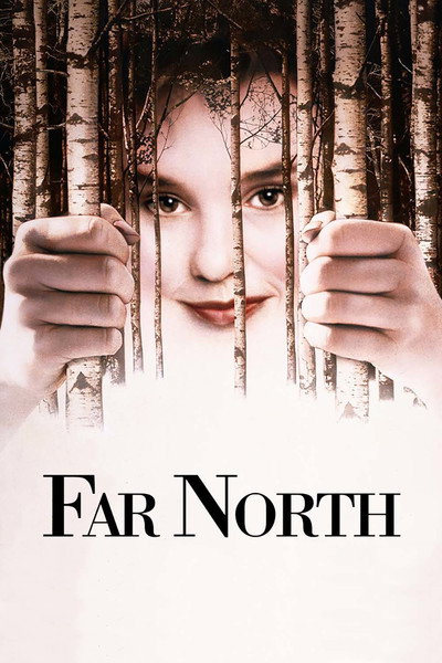 Póster de Norte lejano