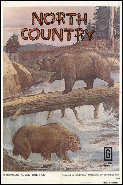 Póster de North Country