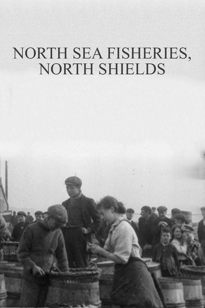 Póster de North Sea Fisheries, North Shields