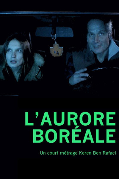 Póster de Northern Lights