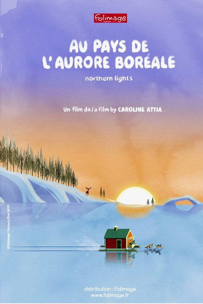 Póster de Northern lights