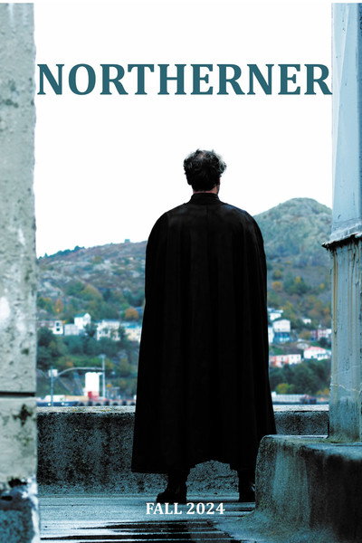 Póster de Northerner
