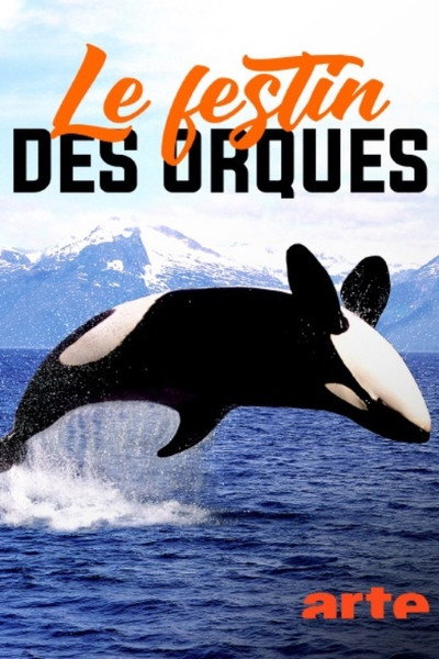 Póster de Norvège: le festin des orques