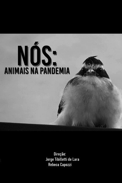 Póster de Nós: animais na pandemia