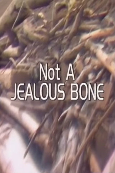 Póster de Not a Jealous Bone