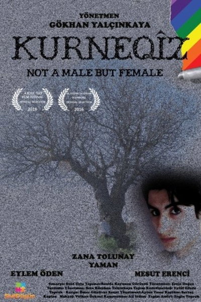 Póster de Not a Male But Female
