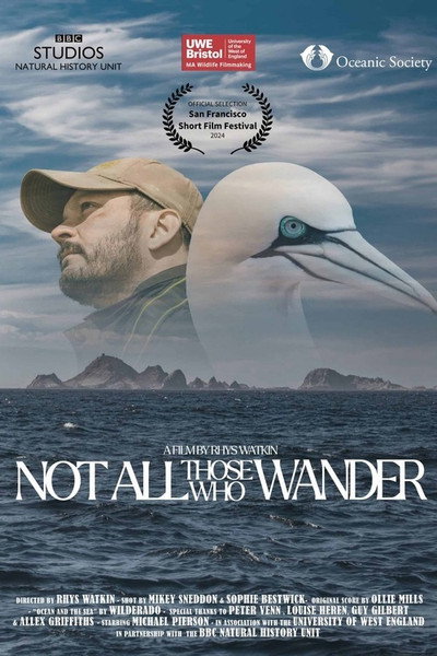 Póster de Not All Those Who Wander