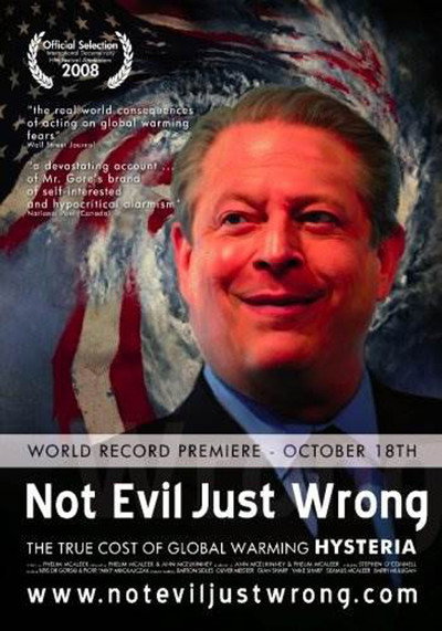 Póster de Not Evil Just Wrong