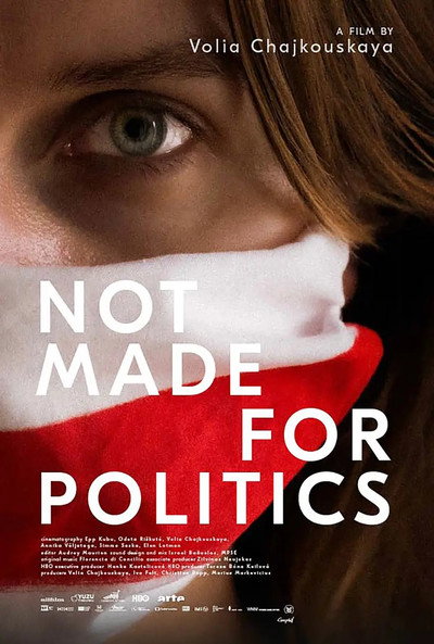 Póster de Not Made for Politics