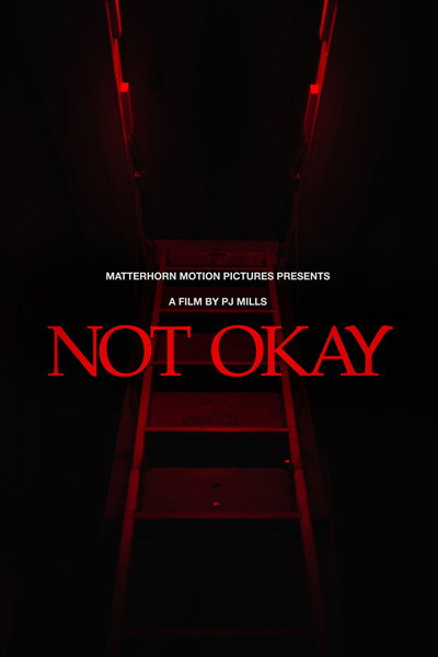 Póster de Not Okay