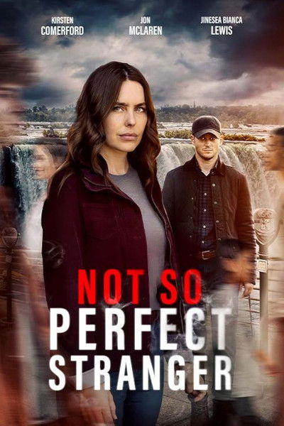 Póster de Not So Perfect Stranger