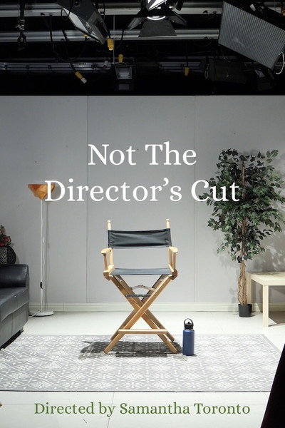 Póster de Not the Director's Cut
