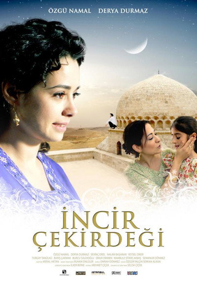 Póster de Not Worth a Fig