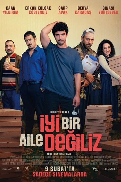 Póster de Not Your Average Family