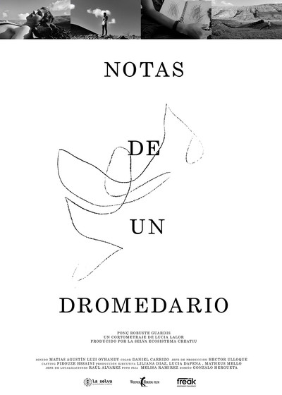 Póster de Notes from a Dromedary