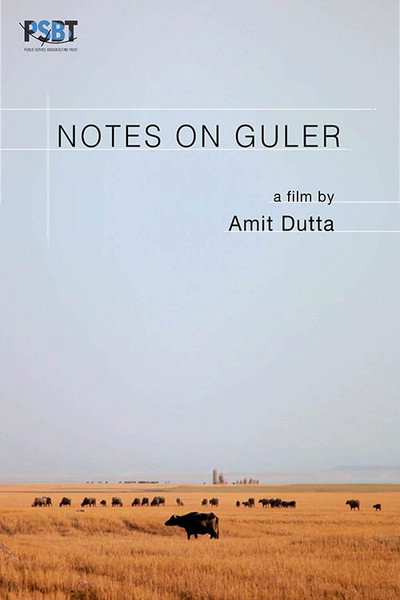 Póster de Notes on Guler