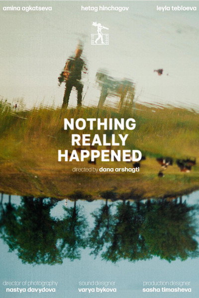 Póster de Nothing really happened