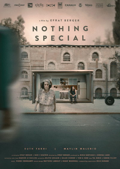 Póster de Nothing Special
