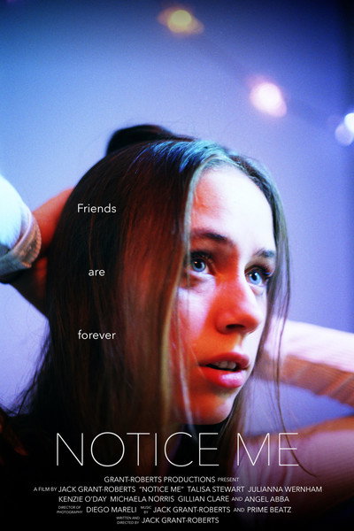 Póster de Notice Me