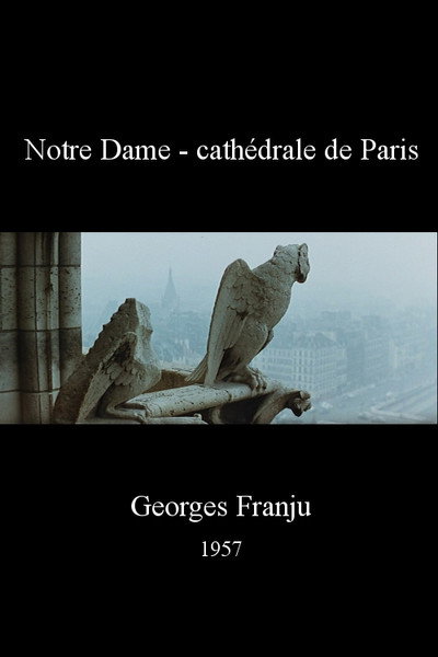 Póster de Notre Dame - cathédrale de Paris