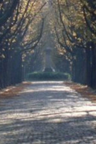 Póster de Nous sommes revenus dans l'allée des marronniers