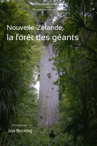 Póster de Nouvelle-Zélande - La forêt des géants