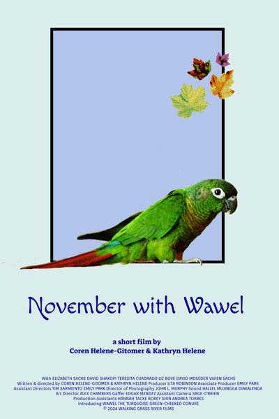 Póster de November with Wawel
