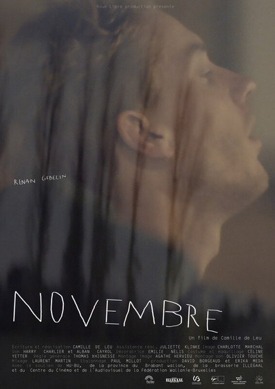 Póster de Novembre
