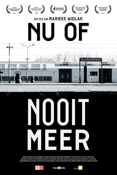 Póster de Now or Never Again