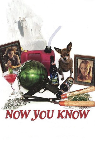 Póster de Now You Know