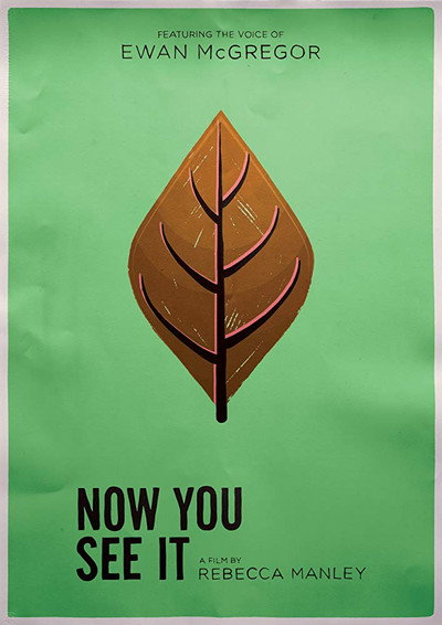 Póster de Now You See It