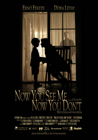 Póster de Now You See Me, Now You Don't