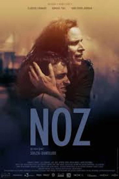 Póster de Noz, un feu dans la nuit