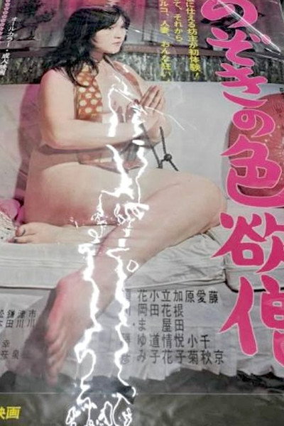 Póster de Nozoki no shikiyoku-sô
