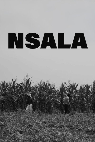 Póster de Nsala