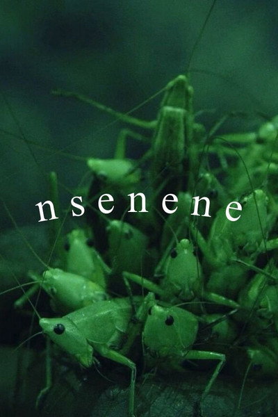 Póster de Nsenene