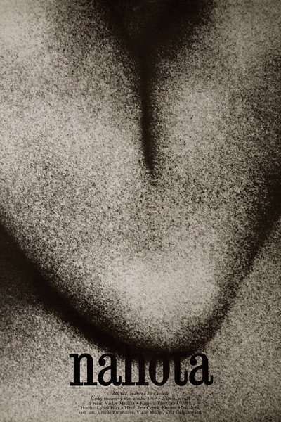 Póster de Nudity