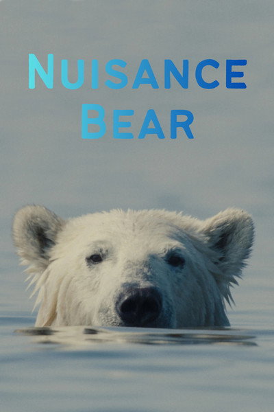 Póster de Nuisance Bear