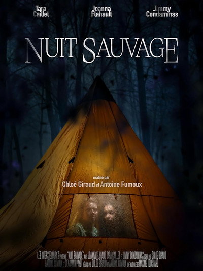 Póster de Nuit Sauvage