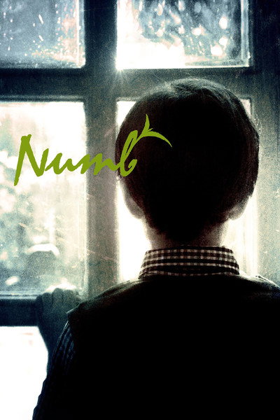 Póster de Numb